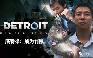 大竹鼠视频,自然界的“地下探险家”